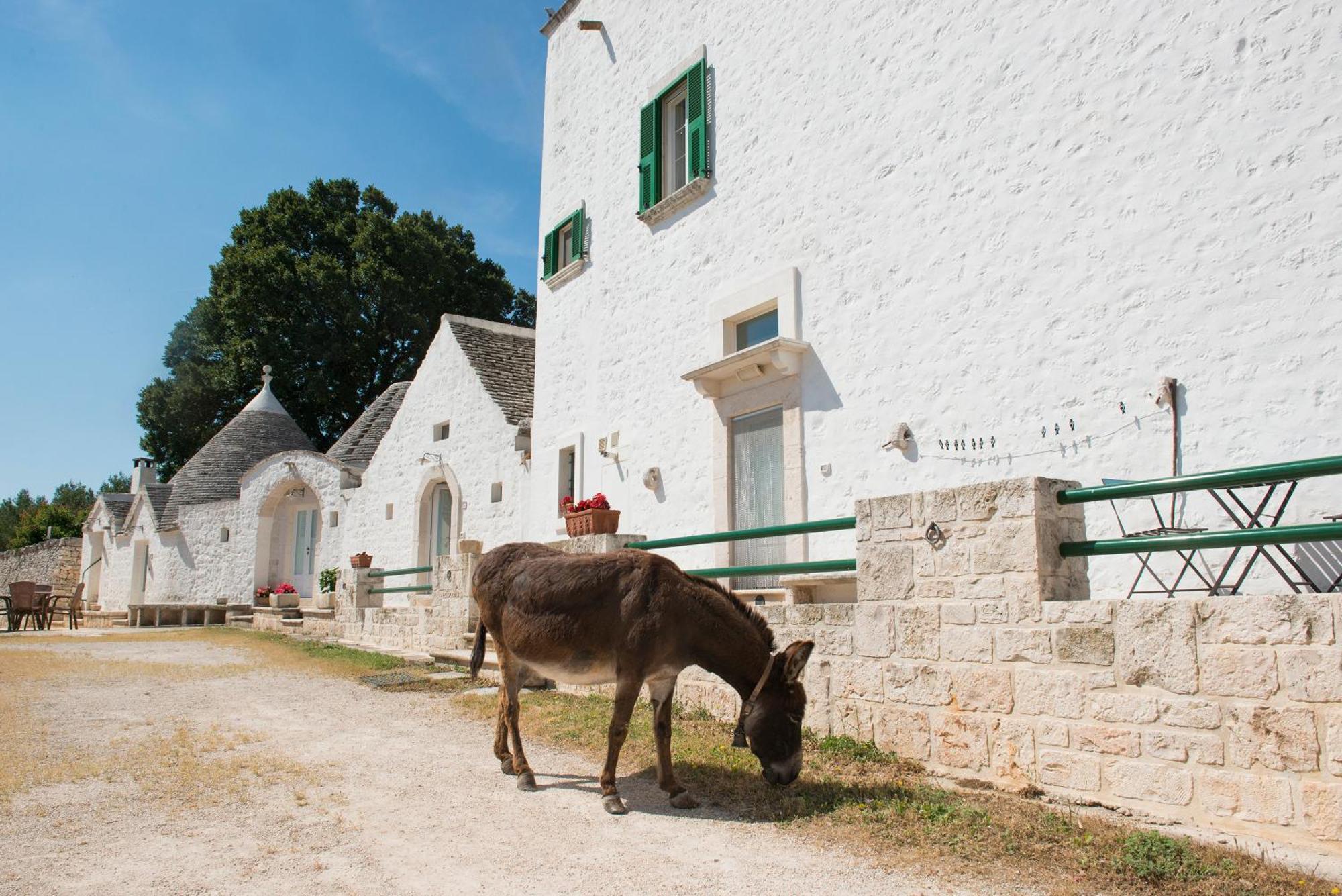 Agriturismo Masseria Aprile ロコロトンド エクステリア 写真